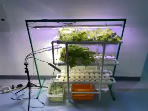 hydroponic-mars-garden Hydroponic Mars garden built by students with a Mars MicroGrant